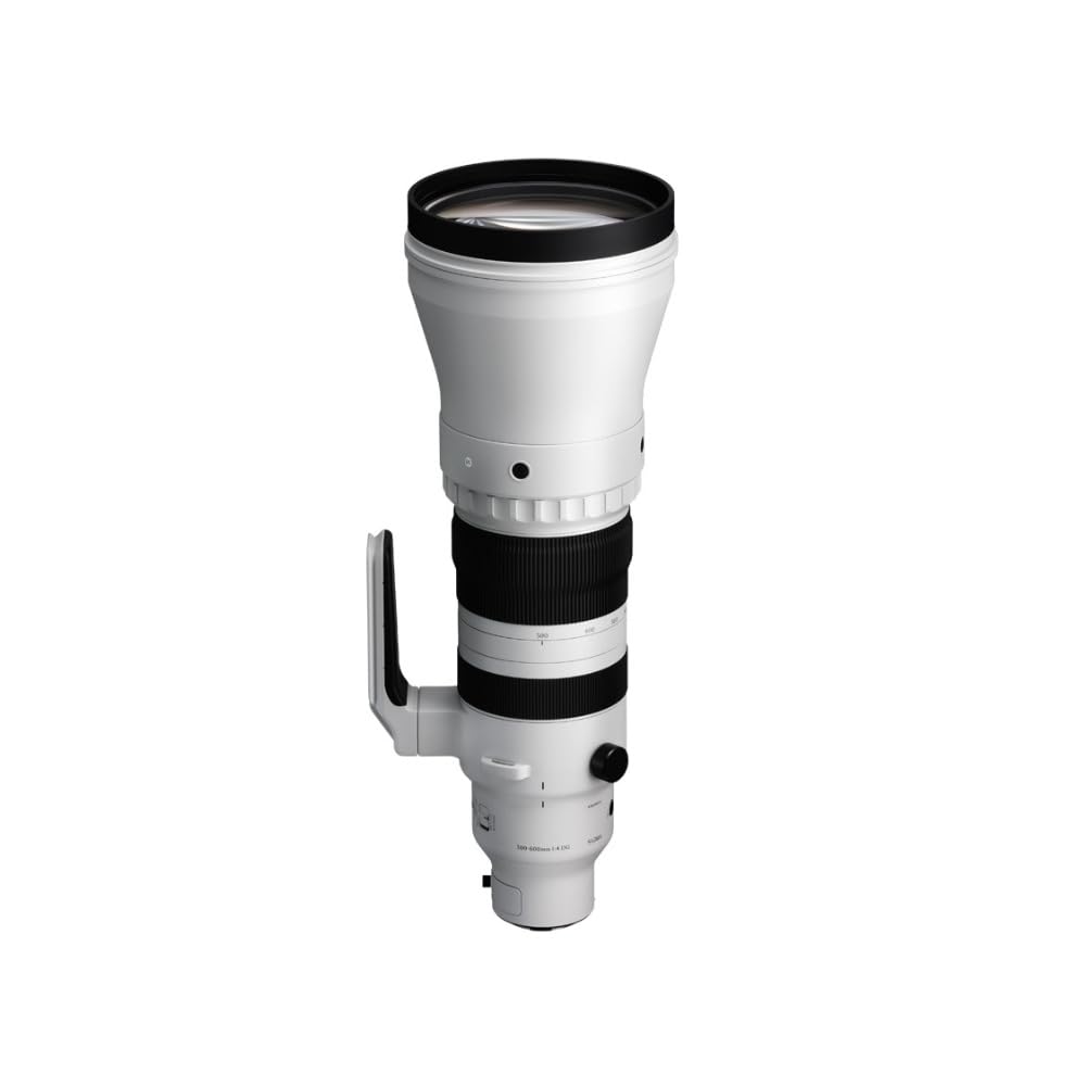 Amazon.com : Sigma 300-600mm F4 DG OS | Sports for L Mount
